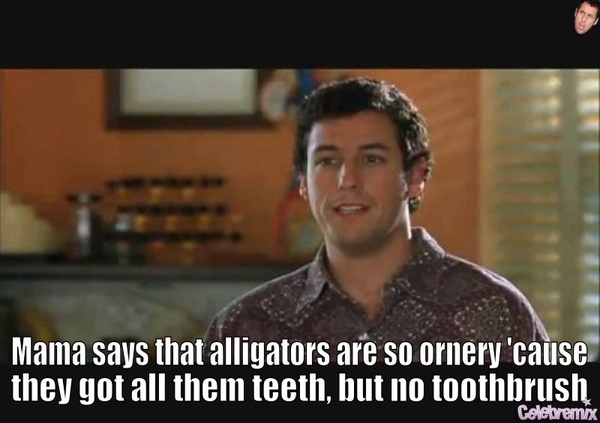 adam-sandler-quotes-sayings-funny-alligators-teeth